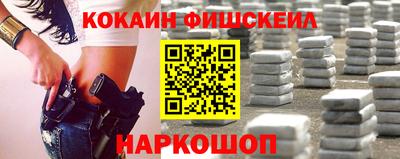 МДПВ Кингисепп