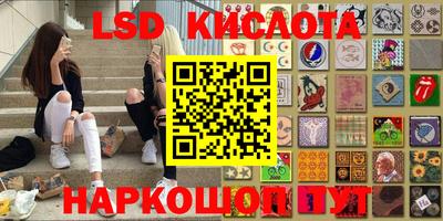 МДПВ Кингисепп