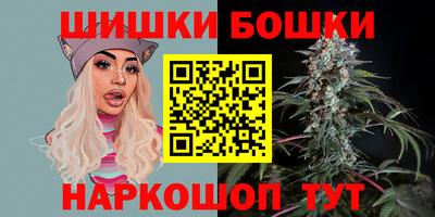 МДПВ Кингисепп