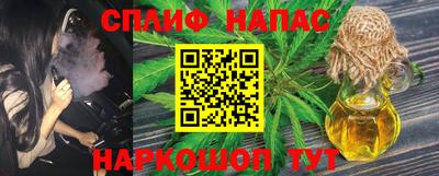 МДПВ Кингисепп