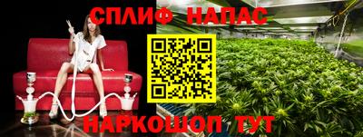 тгк Кинель